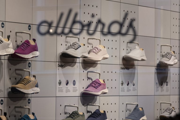 Allbirds stock plunge lessons brand failure $39 million sale eco sneaker company collapse